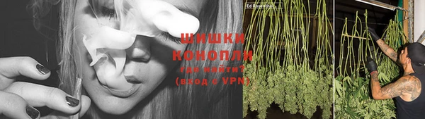 дживик Новодвинск