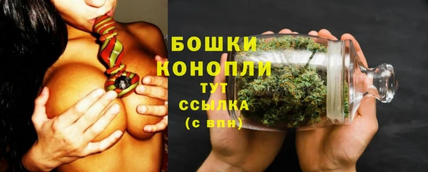 дживик Новодвинск