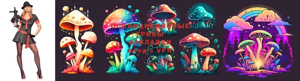 первитин Новозыбков