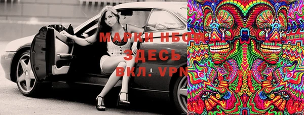 гашик Новокубанск