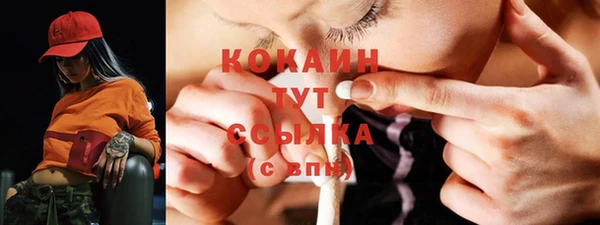 первитин Новозыбков