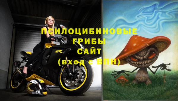 дживик Новодвинск