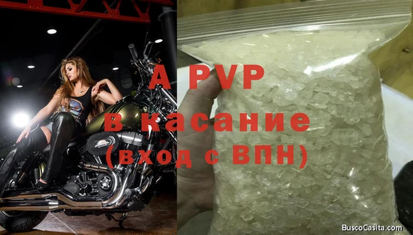 дживик Новодвинск