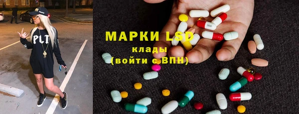 гашик Новокубанск