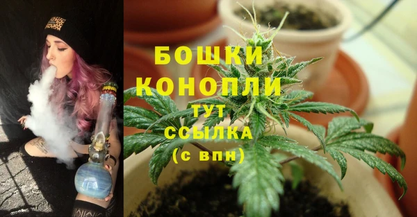 дживик Новодвинск