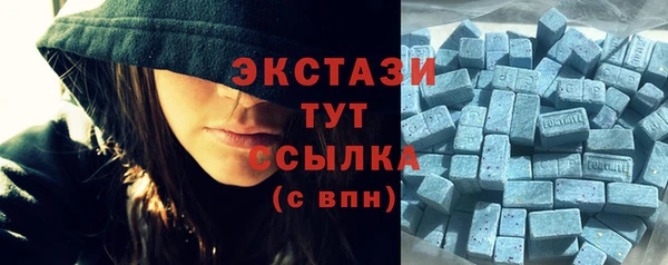 первитин Новозыбков
