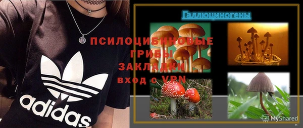 гашик Новокубанск
