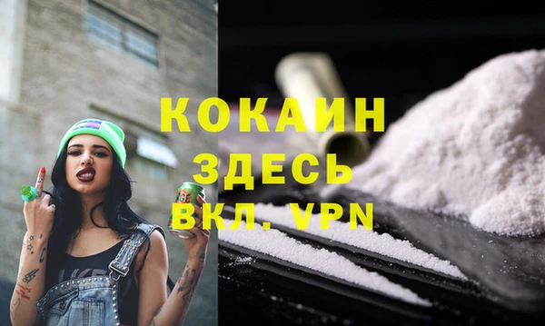 гашик Новокубанск