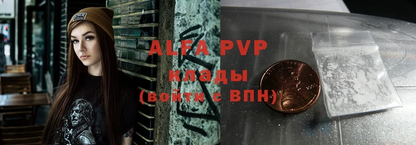 гашик Новокубанск