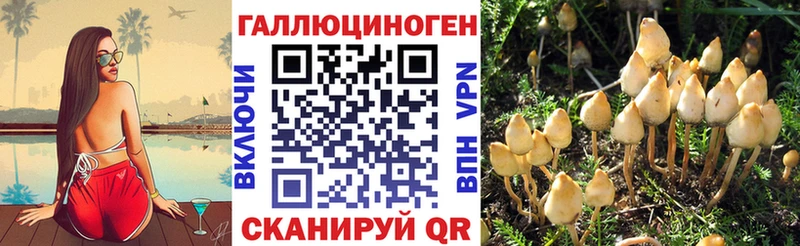 Галлюциногенные грибы Psilocybine cubensis Палласовка